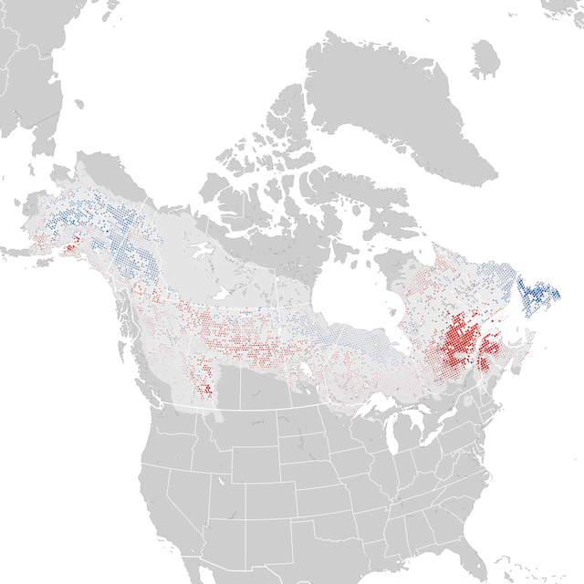 Trends Map