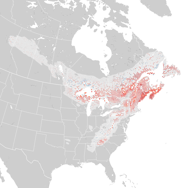 Mappa delle tendenze