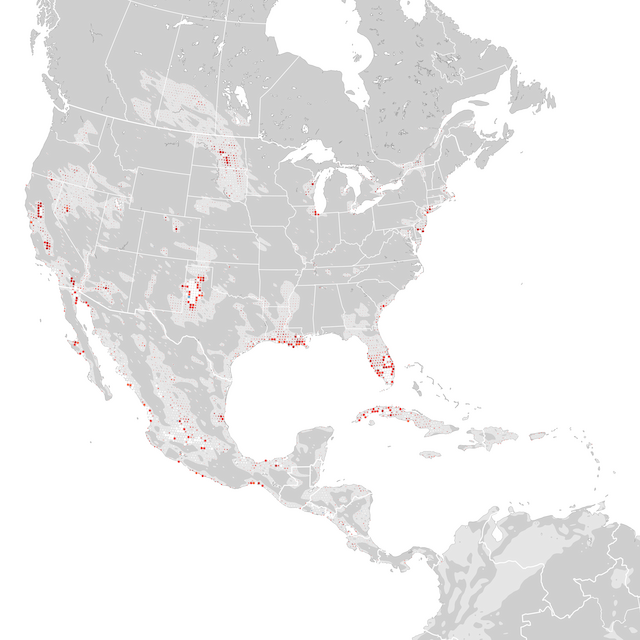 Mapa de Tendências