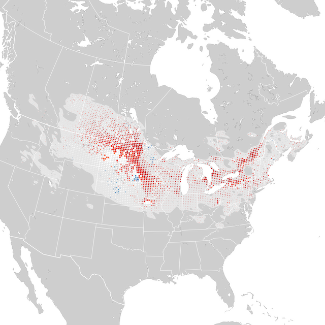 Mapa de Tendências