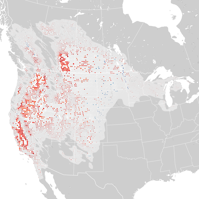 Trends Map