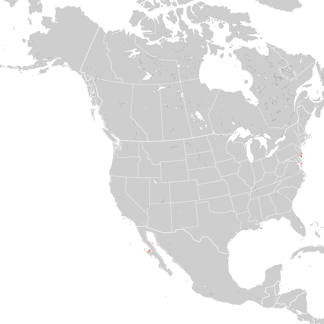Trends Map