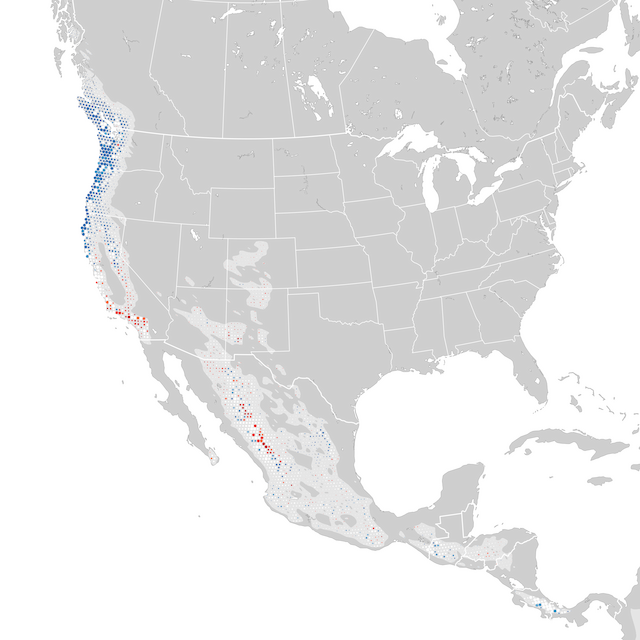 Mapa de Tendências