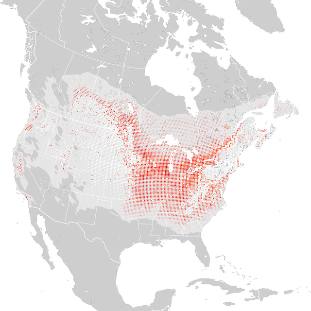 Trends Map