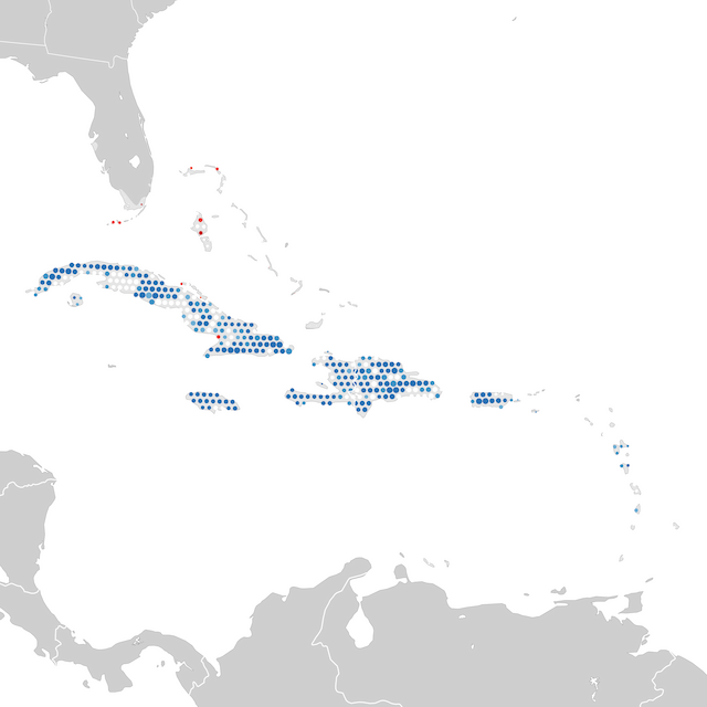 Mapa de Tendências