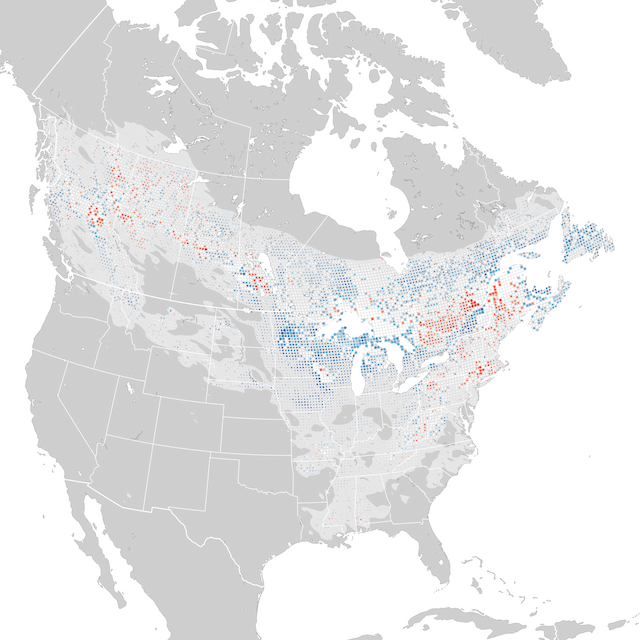 Trends Map