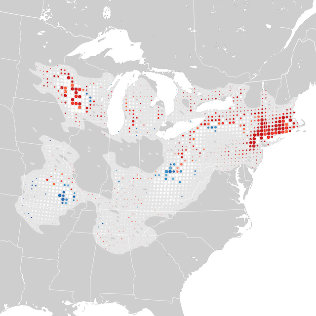 Trends Map