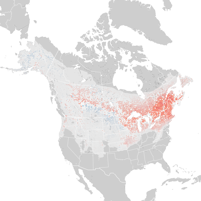 Trends Map