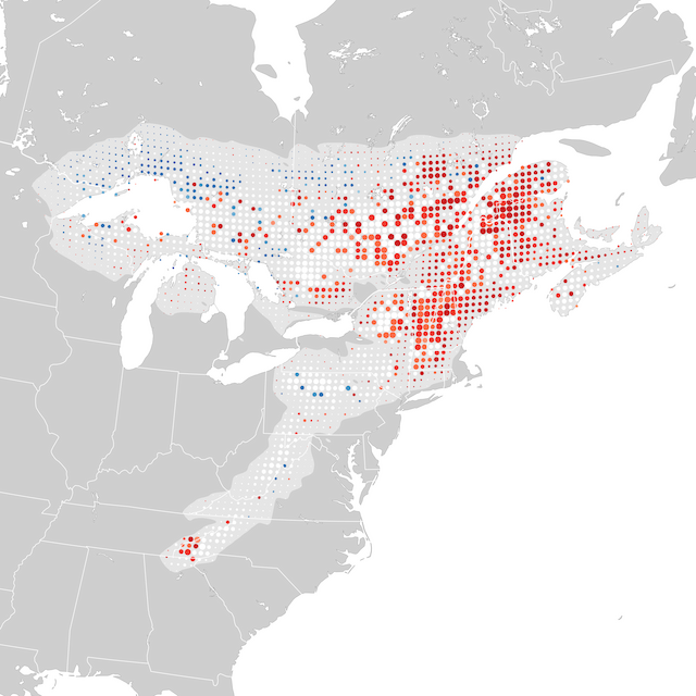 Trends Map