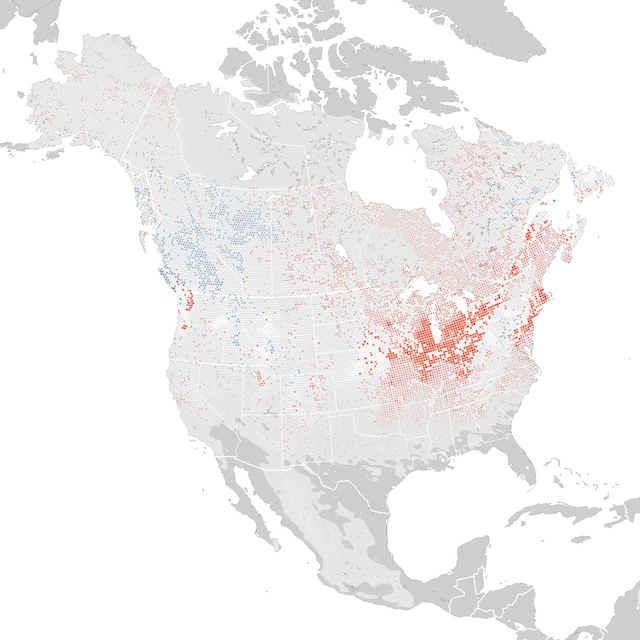 Mappa delle tendenze