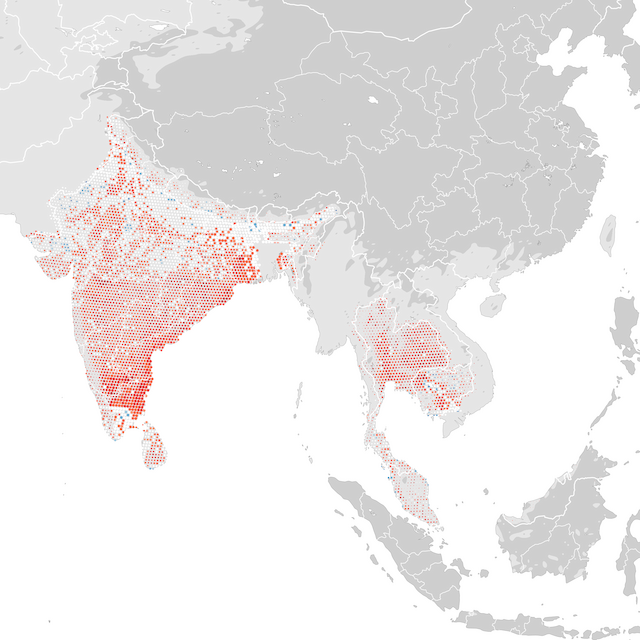 Trends Map