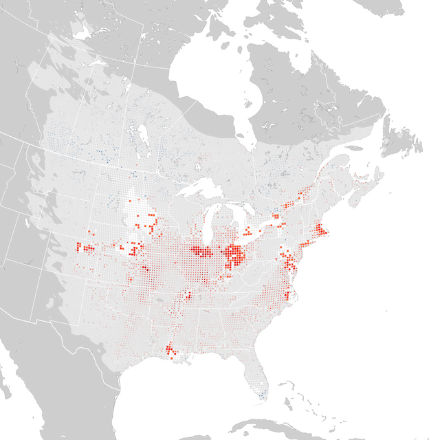 Trends Map