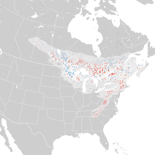 Trends Map