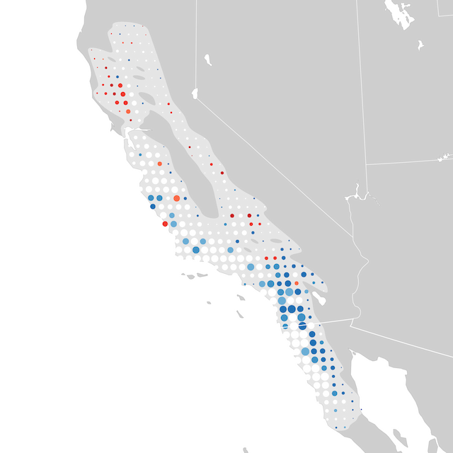 Trends Map