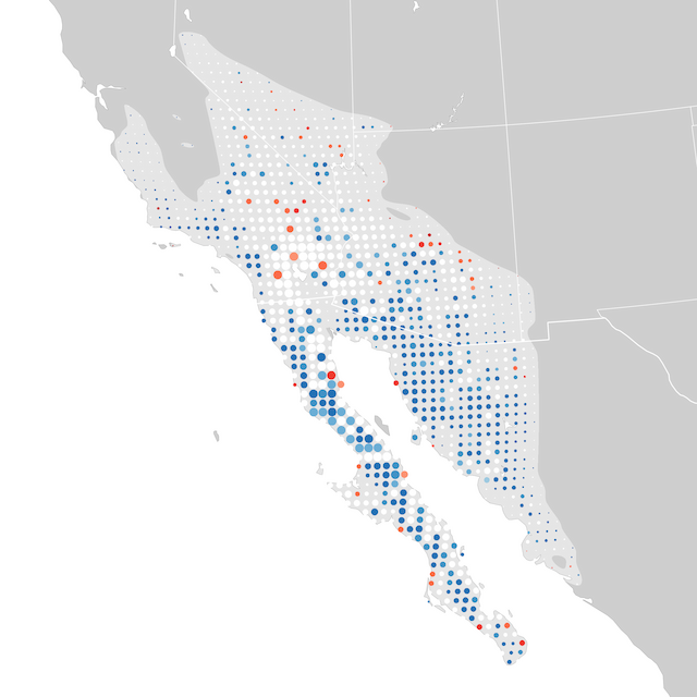 Mapa de Tendências