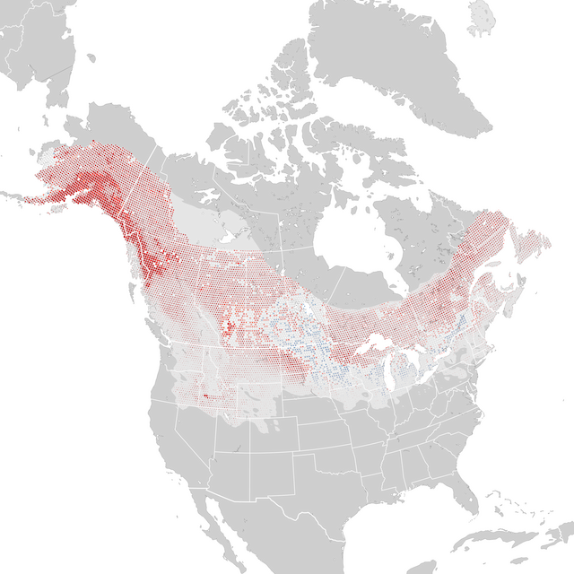 Mapa de Tendências