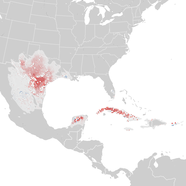 Mapa de Tendências