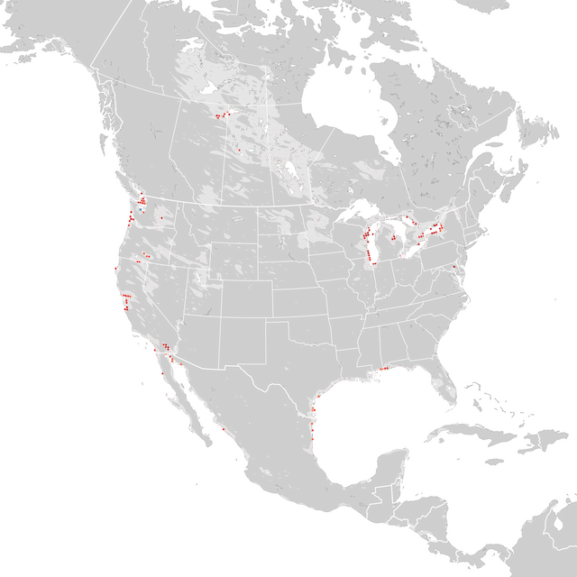 Trends Map