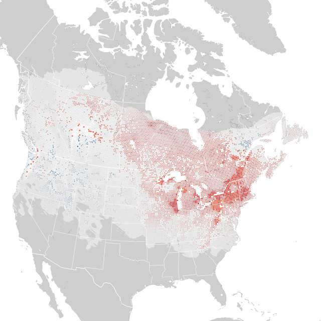 Trends Map