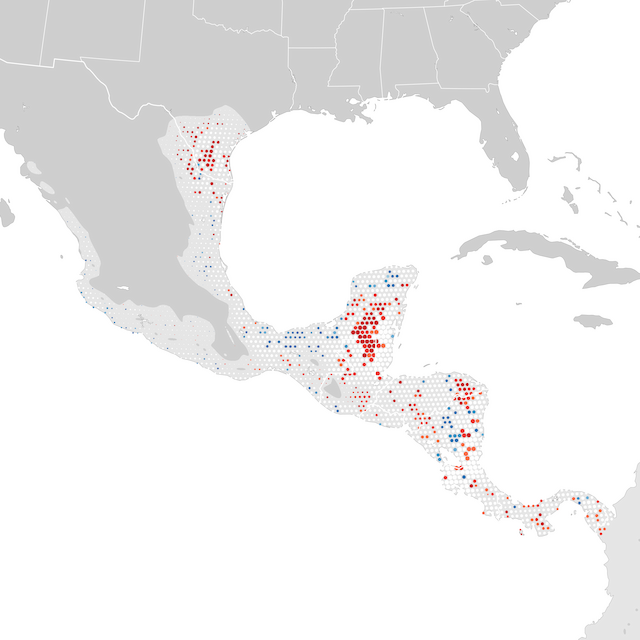 Mapa de tendencias