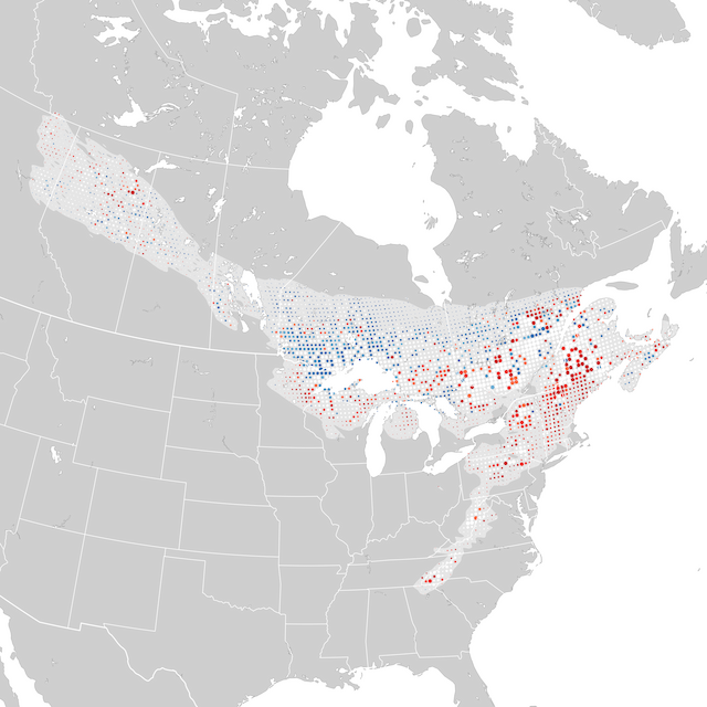 Trends Map