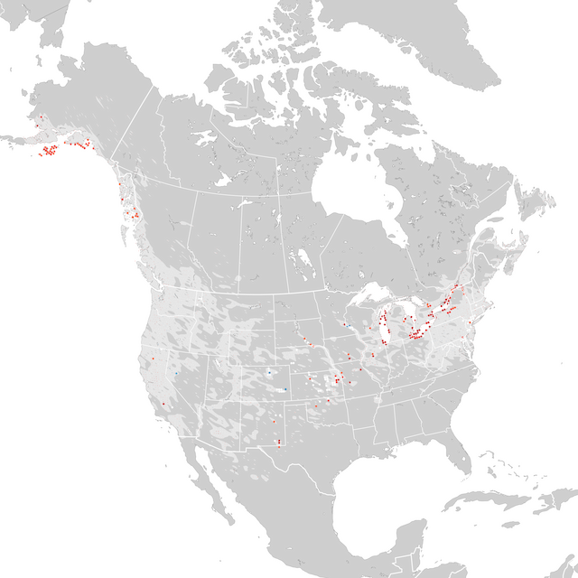 Mappa delle tendenze