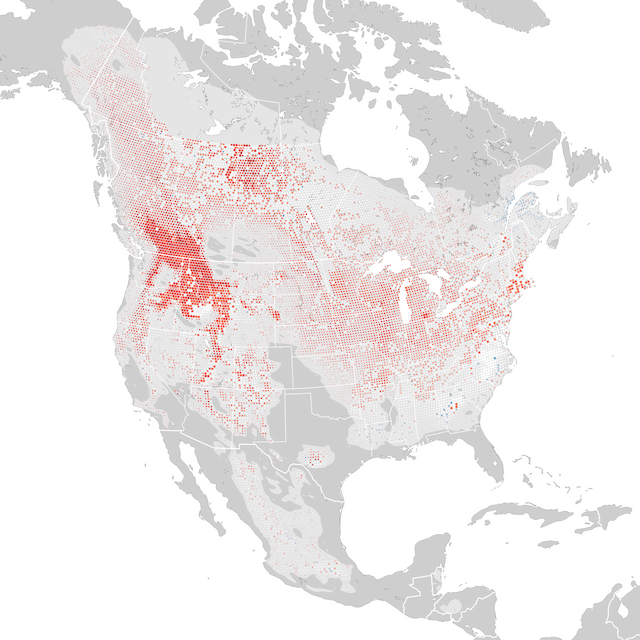 Trends Map