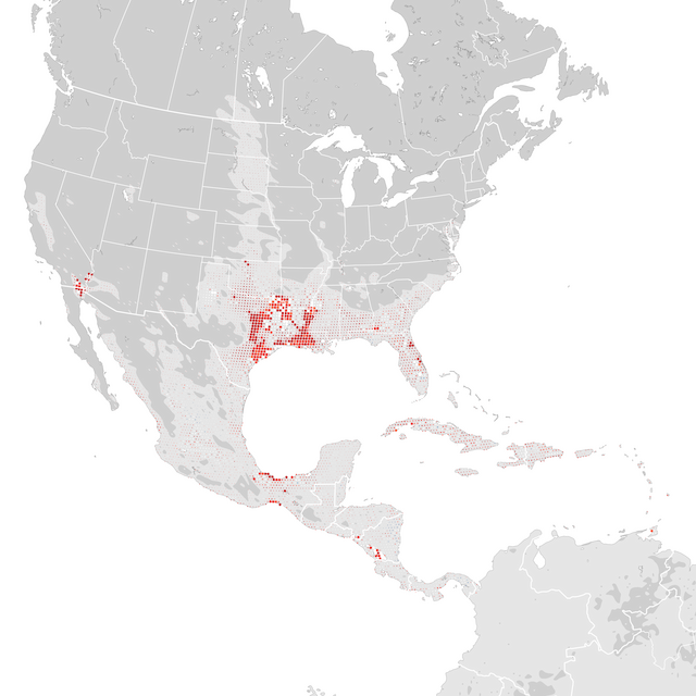 Mapa de Tendências