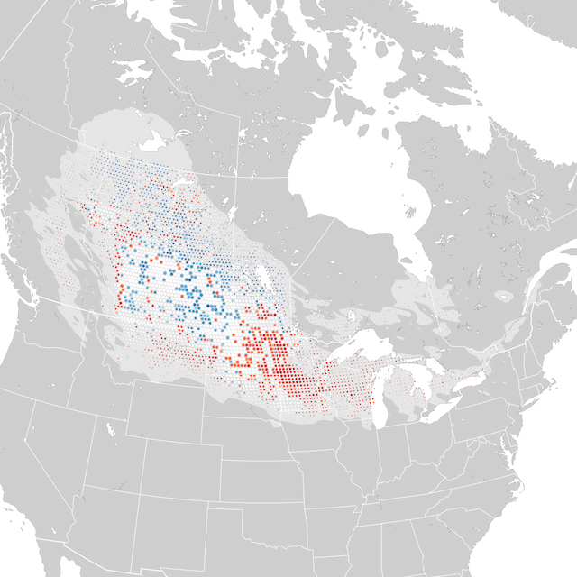 Mapa de Tendências