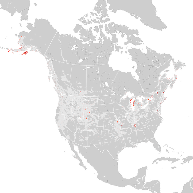 Mappa delle tendenze