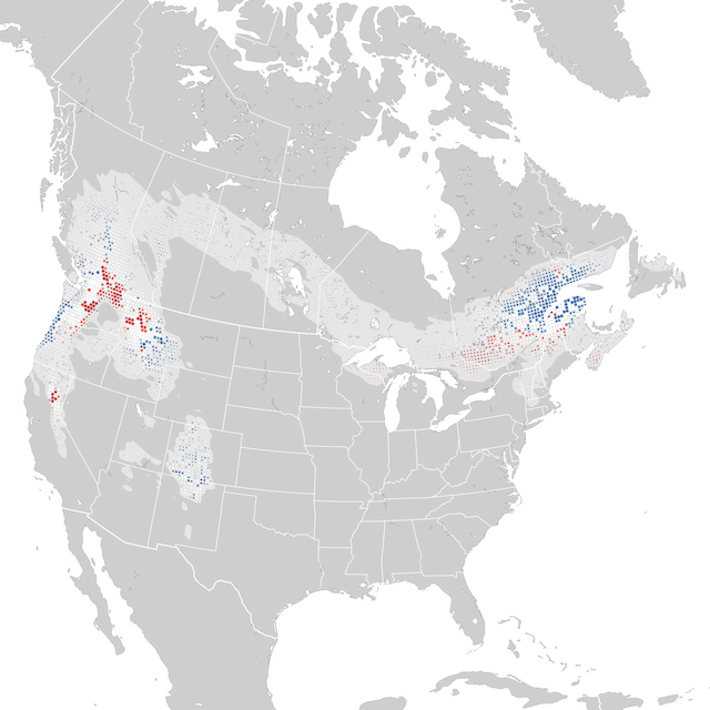 Trends Map