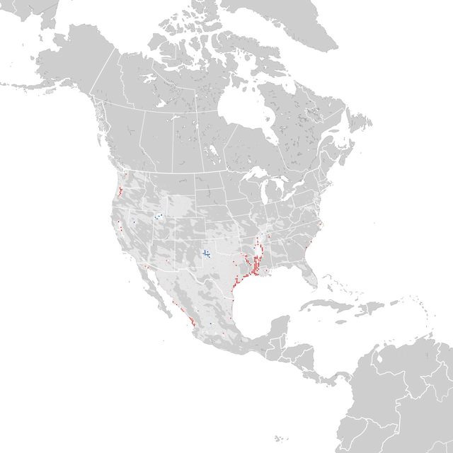 Mapa de Tendências