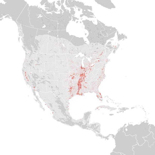 Mapa de Tendências