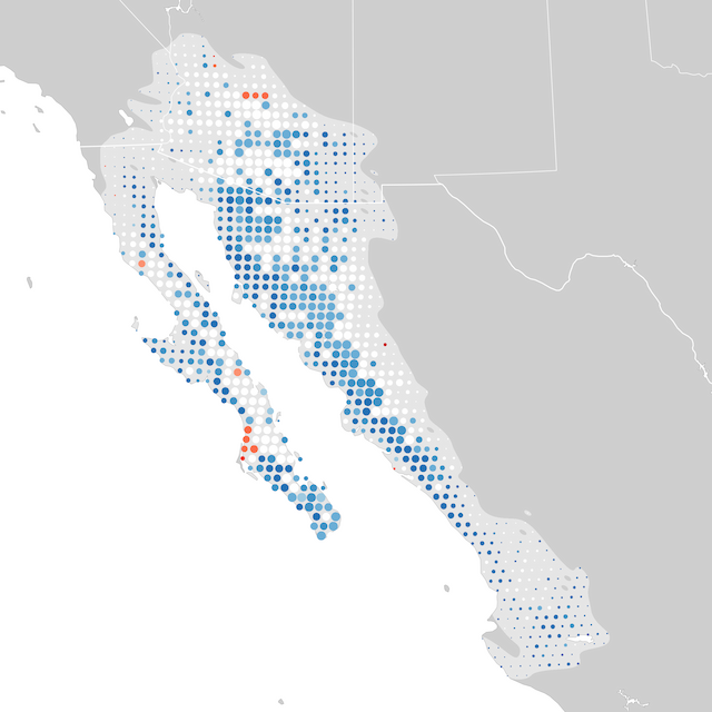 Mapa de Tendências