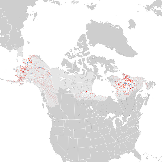 Mappa delle tendenze