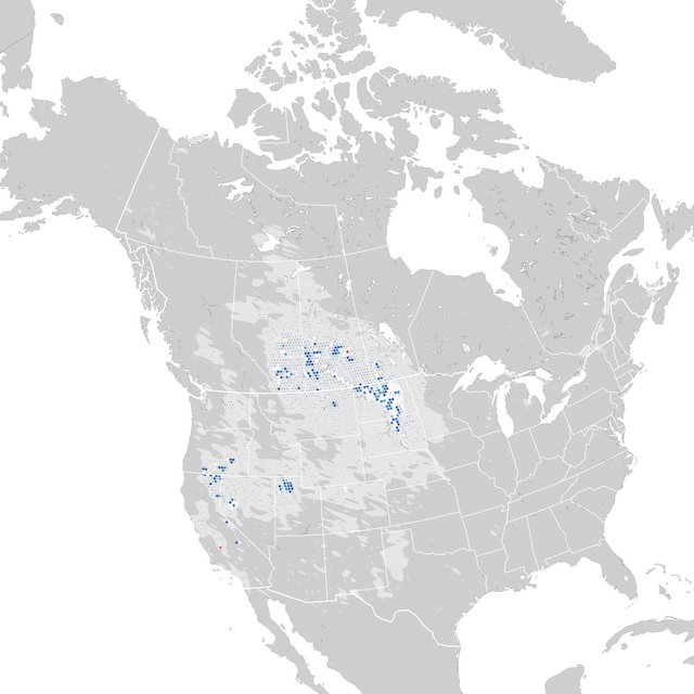 Mapa de tendencias