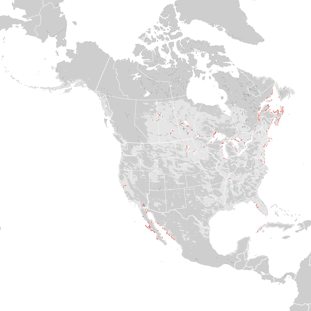 Mapa de Tendências