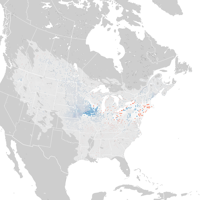 Trends Map