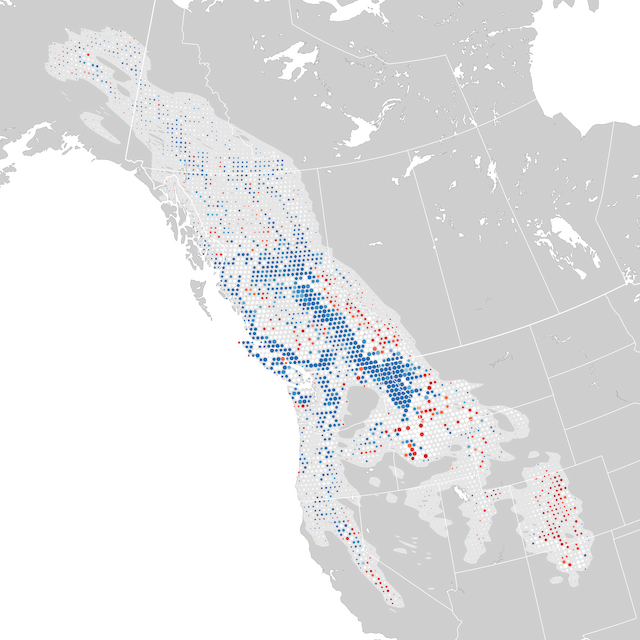 Trends Map