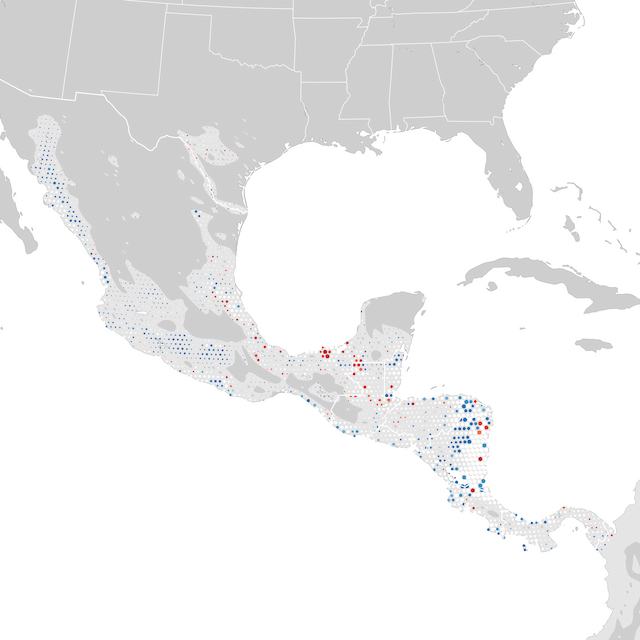 Mapa de Tendências