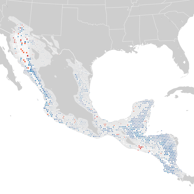 Mapa de tendencias