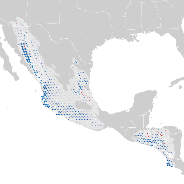 Mapa de Tendências