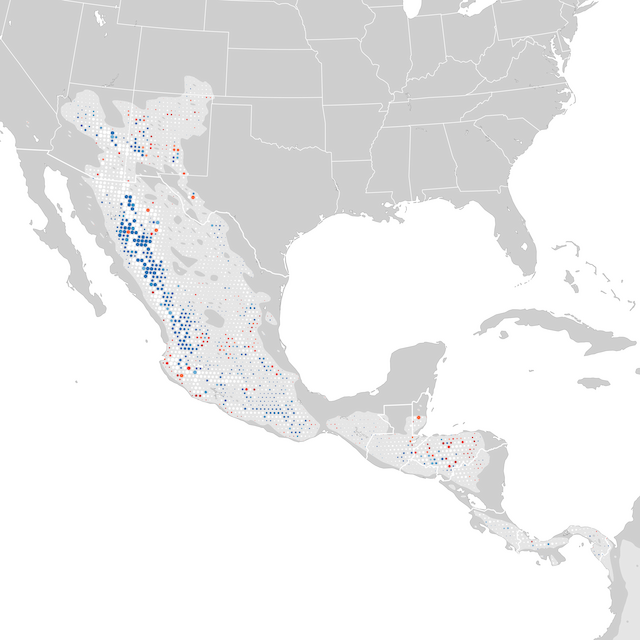 Mapa de tendencias