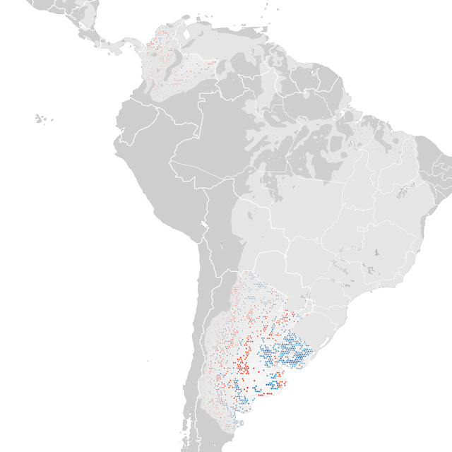 Mapa de Tendências