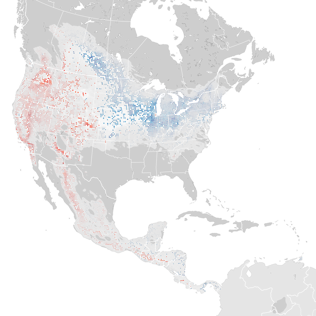 Trends Map