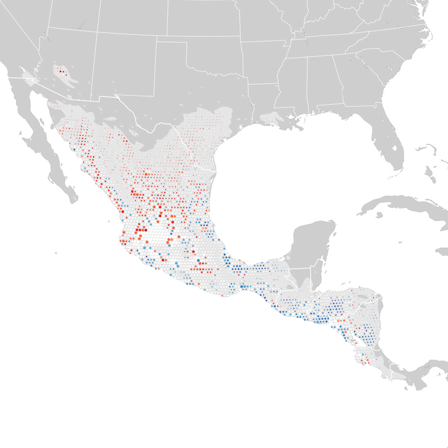 Mappa delle tendenze