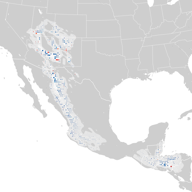 Mapa de Tendências