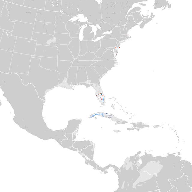 Mapa de Tendências