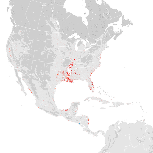 Mapa de Tendências