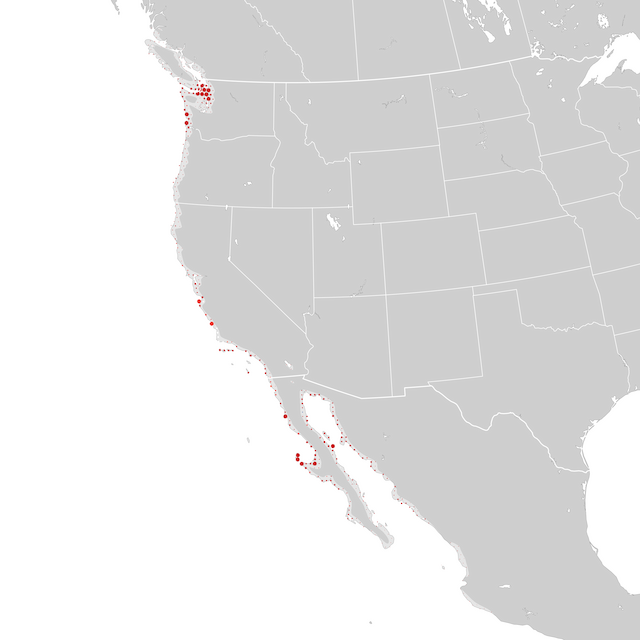 Carte des tendances